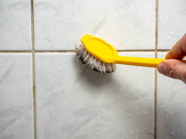 Best Mold Removal Specialists  in Woods Cross, UT