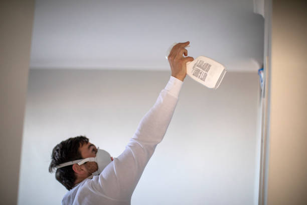 Professional Mold Removal in Woods Cross, UT