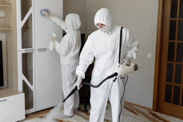 Mold Testing and Removal in Woods Cross, UT