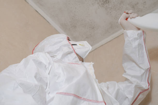 Water Damage Restoration in Woods Cross, UT